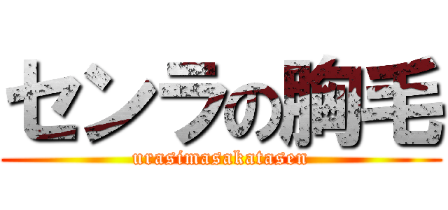 センラの胸毛 (urasimasakatasen)