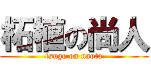 柘植の尚人 (tsuge on naoto)