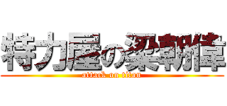 特力屋の梁朝偉 (attack on titan)
