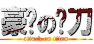 豪爷の电刀 (attack on titan)