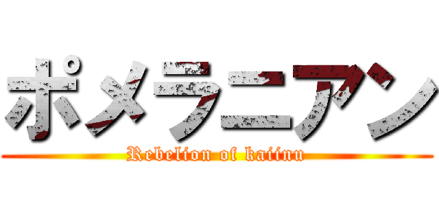 ポメラニアン (Rebelion of kaiinu)