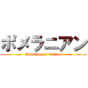 ポメラニアン (Rebelion of kaiinu)