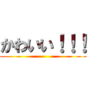 かわいい！！！ ()