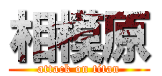 相模原 (attack on titan)