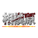 相模原 (attack on titan)