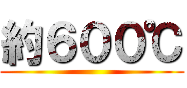 約６００℃ ()