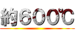 約６００℃ ()