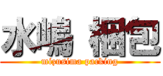 水嶋 梱包 (mizusima packing)
