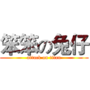 笨笨の兔仔 (attack on titan)