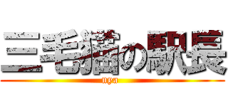 三毛猫の駅長 (nya )