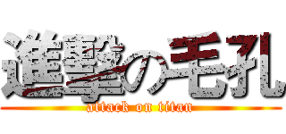 進擊の毛孔 (attack on titan)