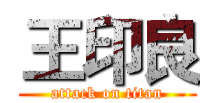 王印良 (attack on titan)