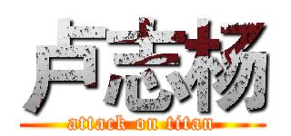 卢志杨 (attack on titan)