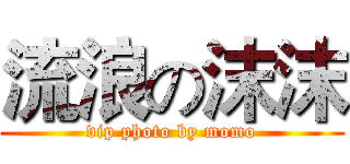 流浪の沫沫 (vip photo by momo)