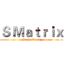 Ｓ Ｍａｔｒｉｘ (Darts Team)