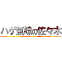 ハゲ気味の佐々木 (attack on titan)