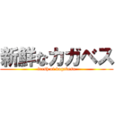 新鮮なカガベス (fresh of kagabesu)