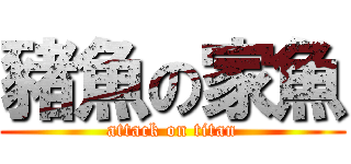 豬魚の家魚 (attack on titan)