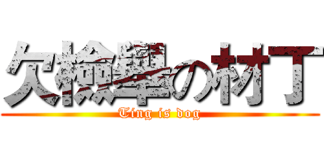 欠檢舉の材丁 (Ting is dog)