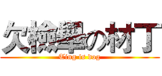 欠檢舉の材丁 (Ting is dog)