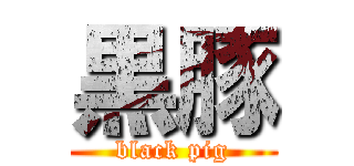 黒豚 (black pig)