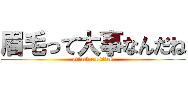 眉毛って大事なんだね (attack on titan)