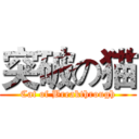 突破の猫 (Cat of Breakthrough)