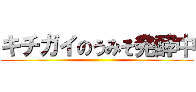キチガイのうみそ発酵中 ()