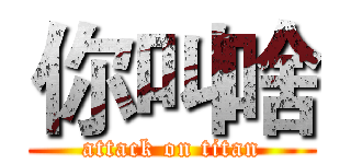 你叫啥 (attack on titan)