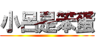 小呂是笨蛋 ()