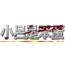小呂是笨蛋 ()