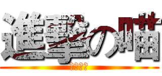 進擊の喵 (進擊の喵)