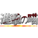 進擊の喵 (進擊の喵)