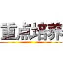 重点培养 ()