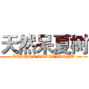 天然呆夏树 (TIANRANDAIXIASHU)