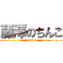 藤澤のちんこ (asoko)