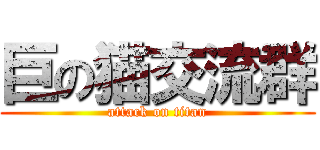 巨の猫交流群 (attack on titan)