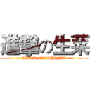 進擊の生菜 (attack on lechugita)