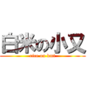 白米の小又 (rice on kmt)