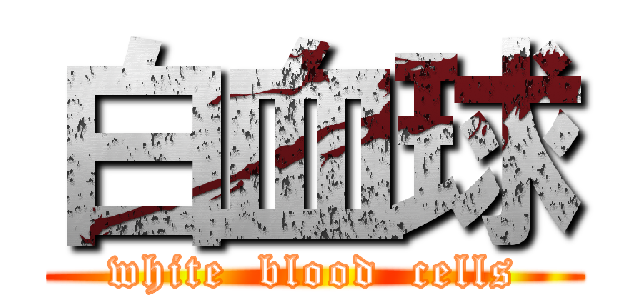 白血球 (white  blood  cells)
