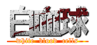 白血球 (white  blood  cells)
