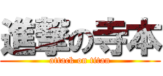 進撃の寺本 (attack on titan)