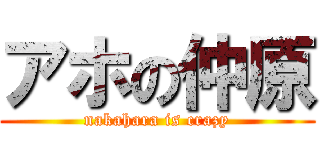 アホの仲原 (nakahara is crazy)