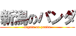 新潟のパンダ (nigata on panda)