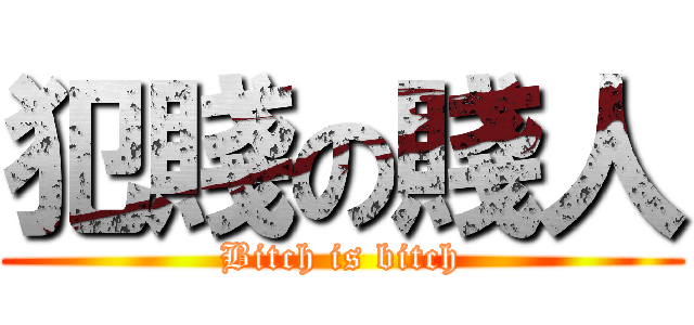 犯賤の賤人 (Bitch is bitch)