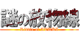 謎の放物線 (Riddle of ATUKI)