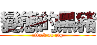 變態的黑豬 (attack on pig)