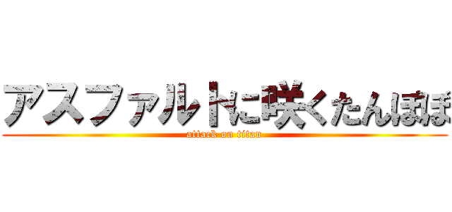 アスファルトに咲くたんぽぽ (attack on titan)