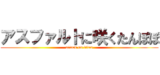 アスファルトに咲くたんぽぽ (attack on titan)