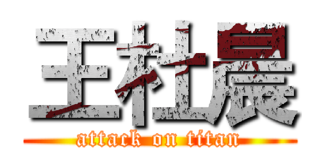 王杜晨 (attack on titan)
